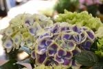 母の日に向けて｜「有花園」　（群馬県高崎市の花キューピット加盟店 花屋）のブログ